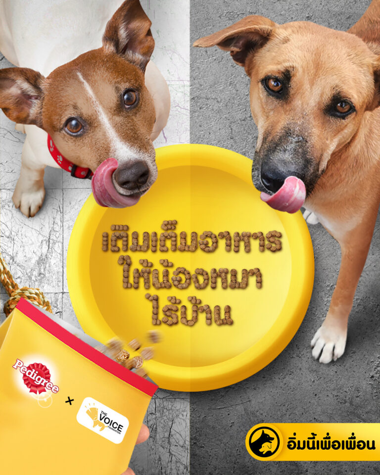 ‘Mars Thailand Inc.’ Invites Pet Owners to Provide Pedigree Meals to Sheltered Dogs under ‘PEDIGREE Feed A Friend–Fill The Bowl’ Campaign. Every Purchase of 1 Participating Pedigree Bag Will Turn into 1 Meal for Sheltered Dogs