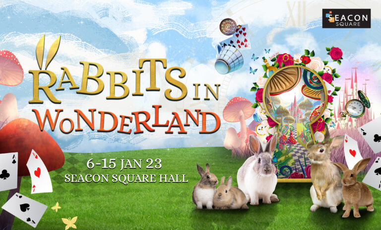 ‘Rabbits in Wonderland’ ดินแดนมหัศจรรย์สำหรับเด็ก