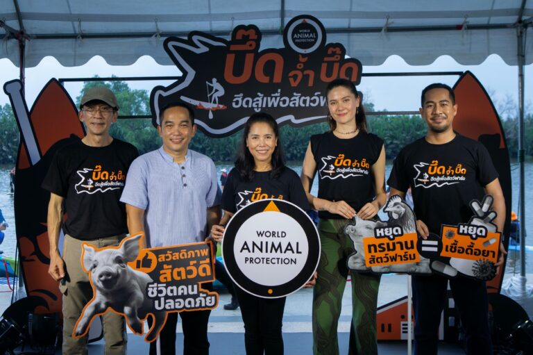 องค์กรพิทักษ์สัตว์แห่งโลก ประเทศไทย รณรงค์ต้านเชื้อดื้อยาจากฟาร์มอุตสาหกรรม คิกออฟแคมเปญ ‘บึ๊ด จ้ำ บึ๊ด ฮึดสู้เพื่อสัตว์ฟาร์ม’ ผนึกพลังทีม ‘พายซัพ’ ล่องแม่น้ำสามสาย ดีเดย์สายแรก ‘บางปะกง’