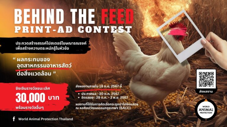 องค์กรพิทักษ์สัตว์แห่งโลก ปลุกใจชาวอาร์ต เปิดประลองไอเดียครีเอทีฟ ‘Print Ads Contest’ สะท้อนวิกฤต ‘ผลกระทบอุตสาหกรรมข้าวโพดอาหารสัตว์ต่อสิ่งแวดล้อม’