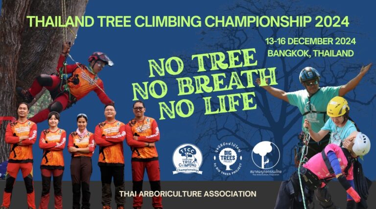 Green Festival 2024 ‘No Tree, No Breath, No Life’ เพราะต้นไม้คือชีวิต คือลมหายใจ ในวันศุกร์ที่ 13-วันอาทิตย์ที่ 15 ธันวาคม 2567 ณ สวนจตุจักร กรุงเทพมหานคร