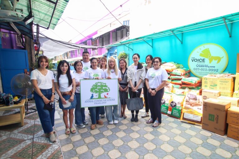 ‘อารีรัตน์ กฤษณะสมิต’ นำทีมกลุ่มนักสื่อสารสัตว์ ประเทศไทย (animal healings & communication thailand) จับมือ ‘เก๋ ชลลดา’ จัดกิจกรรม ‘Animal Reiki Healings’ หรือการเยียวยาสัตว์ด้วยพลังเรกิ